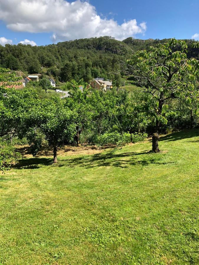 Sokndal - Cozy Vacation Home In Peaceful Surroundings Algard  Exteriör bild